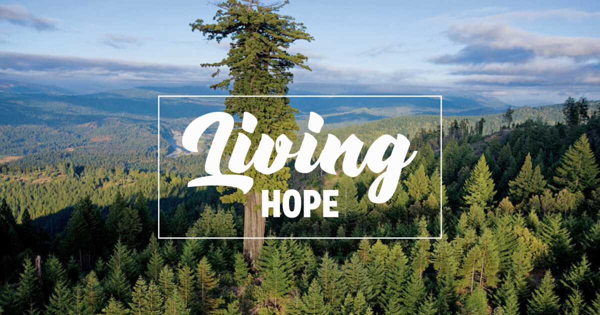 Living Hope Sermons East Hill Church